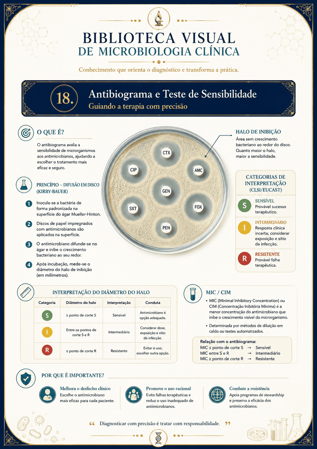 Antibiograma e teste de sensibilidade