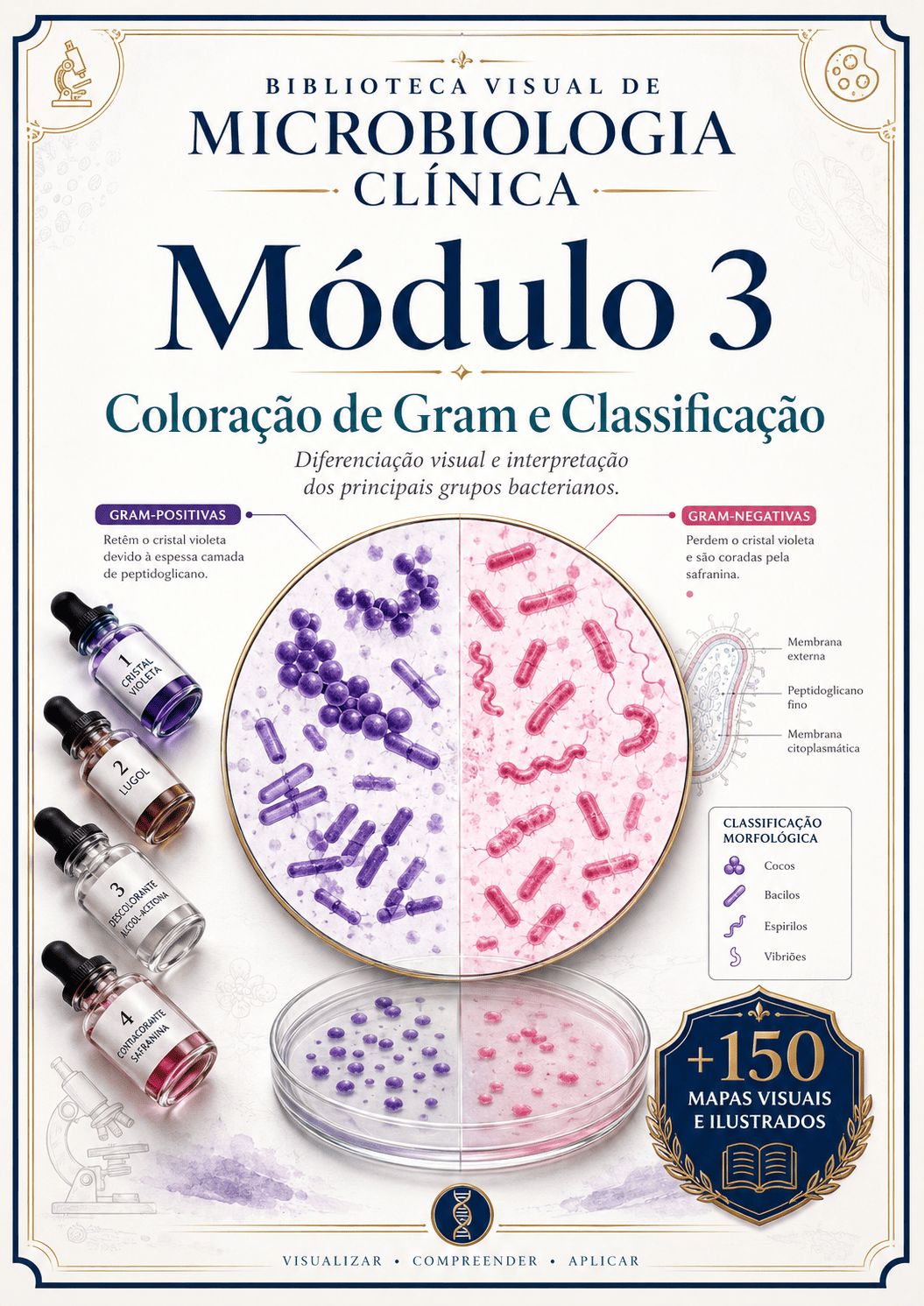 Coloração de Gram e Classificação