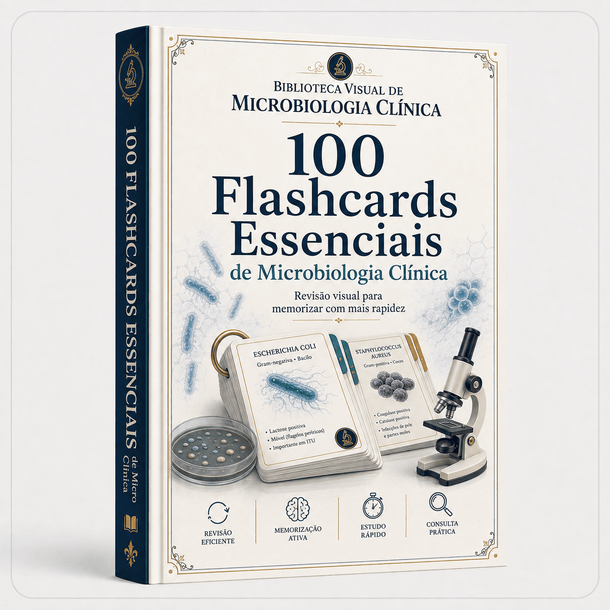 Bônus 3 — 100 Flashcards Essenciais
